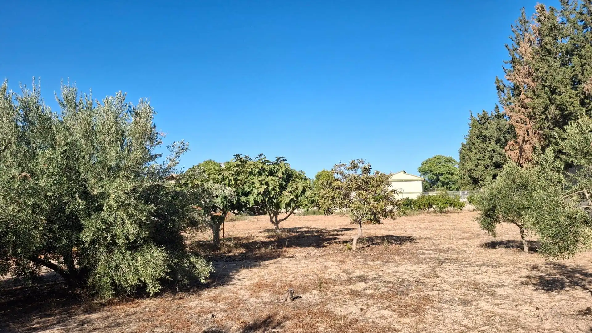 Terrenys i solars en venda a Torreguil, imagen 10