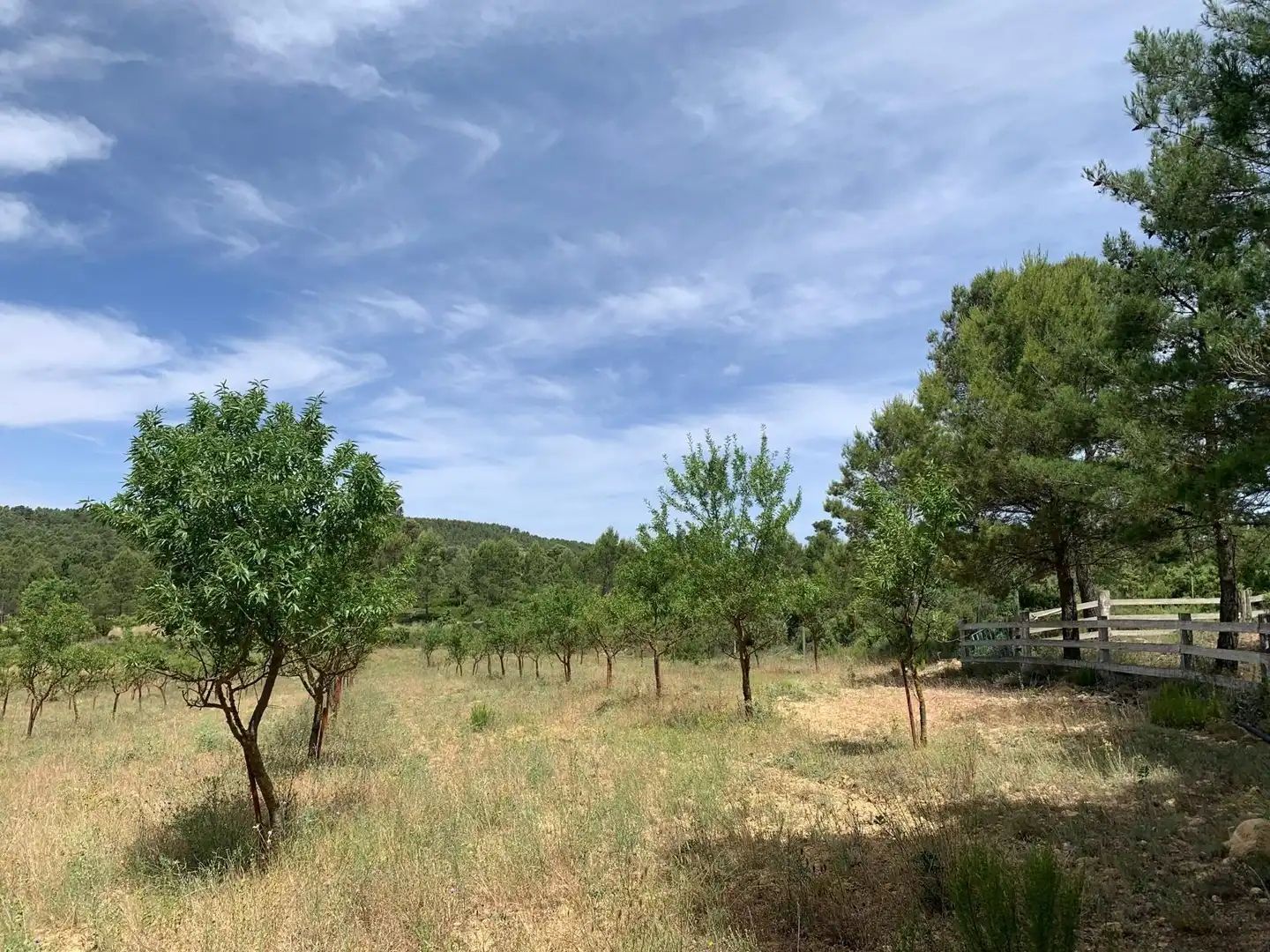 Country homes for sale in Cortes de Pallás  with Heating and Swimming Pool