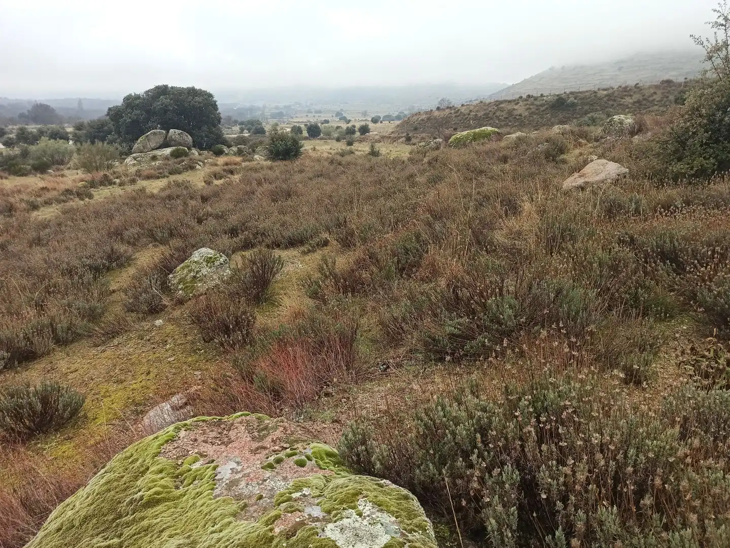 Terreno rustico in vendita a Zarzalejo, imagen 19