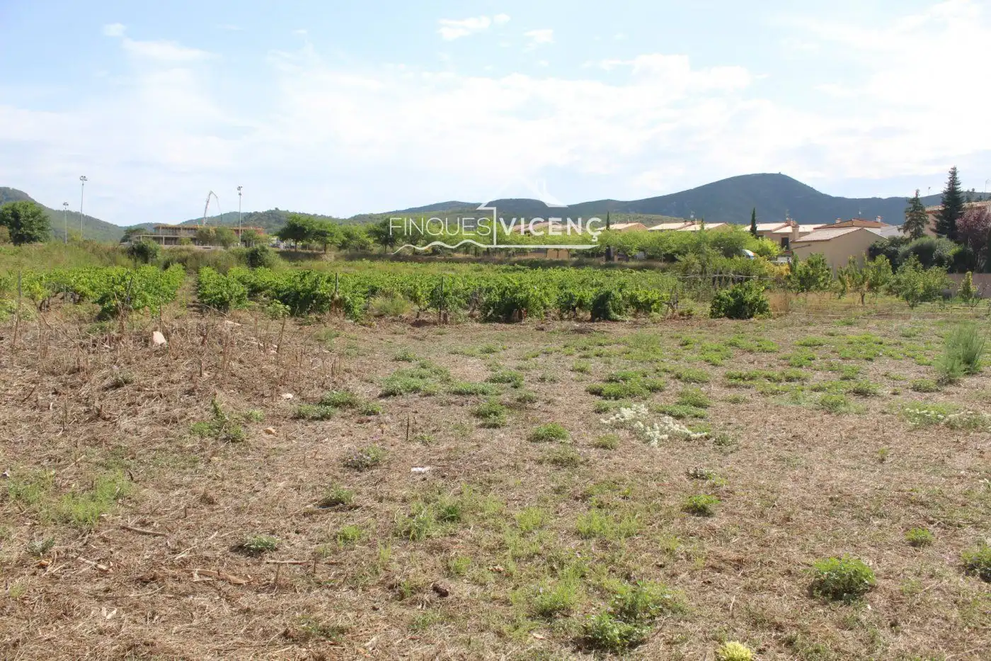 Terreny rústic en venda a esglesia de l', imagen 4