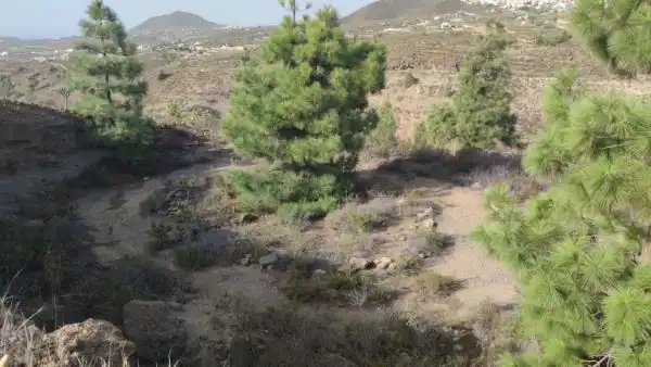 Land for sale in Granadilla de Abona