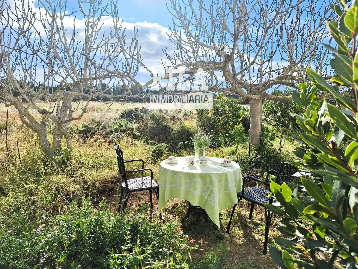 Villa à vendre à La Franquesa - Oasis Park, imagen 2