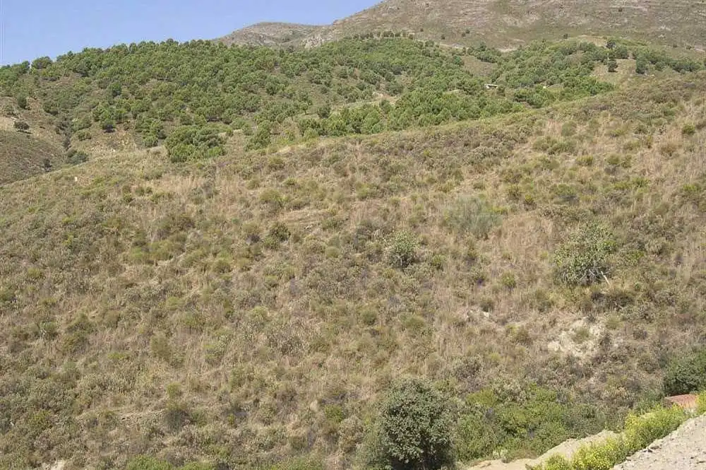 Terreno rústico en venta en Sedella