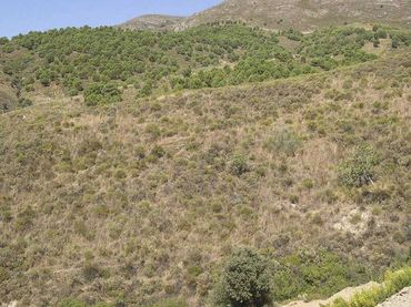 Terreno rústico en venta en Sedella