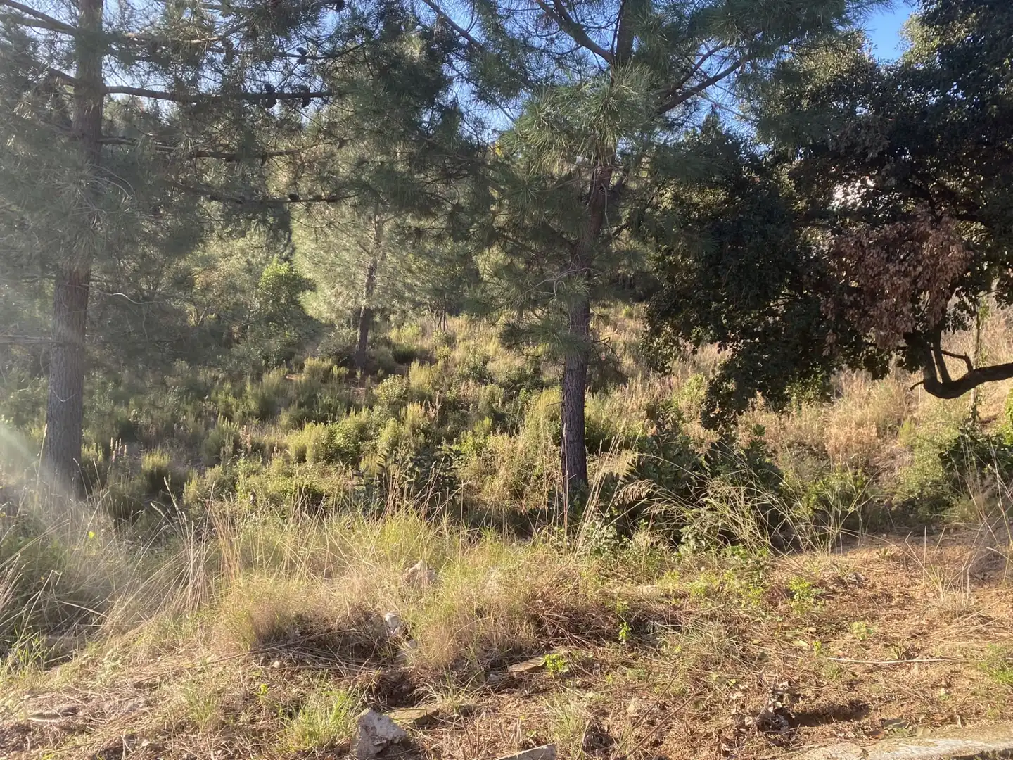 Terreno residencial en venta en Carrer Perdiu 38, imagen 2
