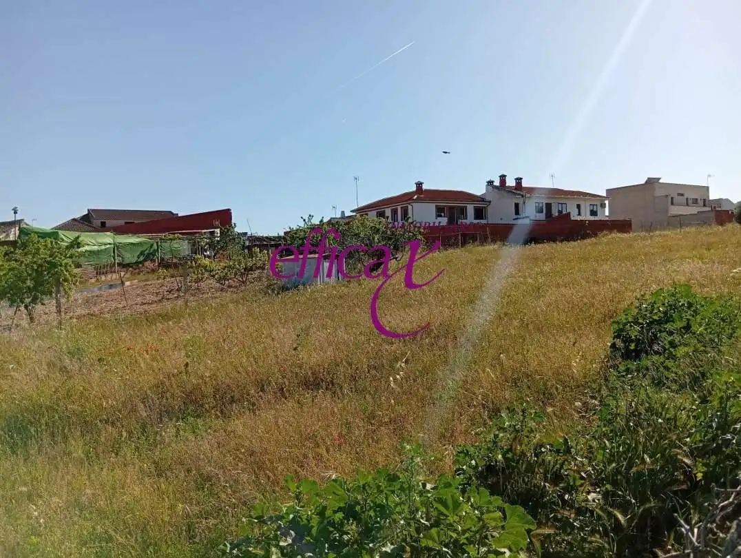 Rural land for sale in La Puebla de Montalbán, imagen 4