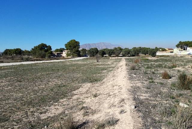 Terreno residencial en Venta en ORITO, POLIGONO 11 en Monforte del Cid