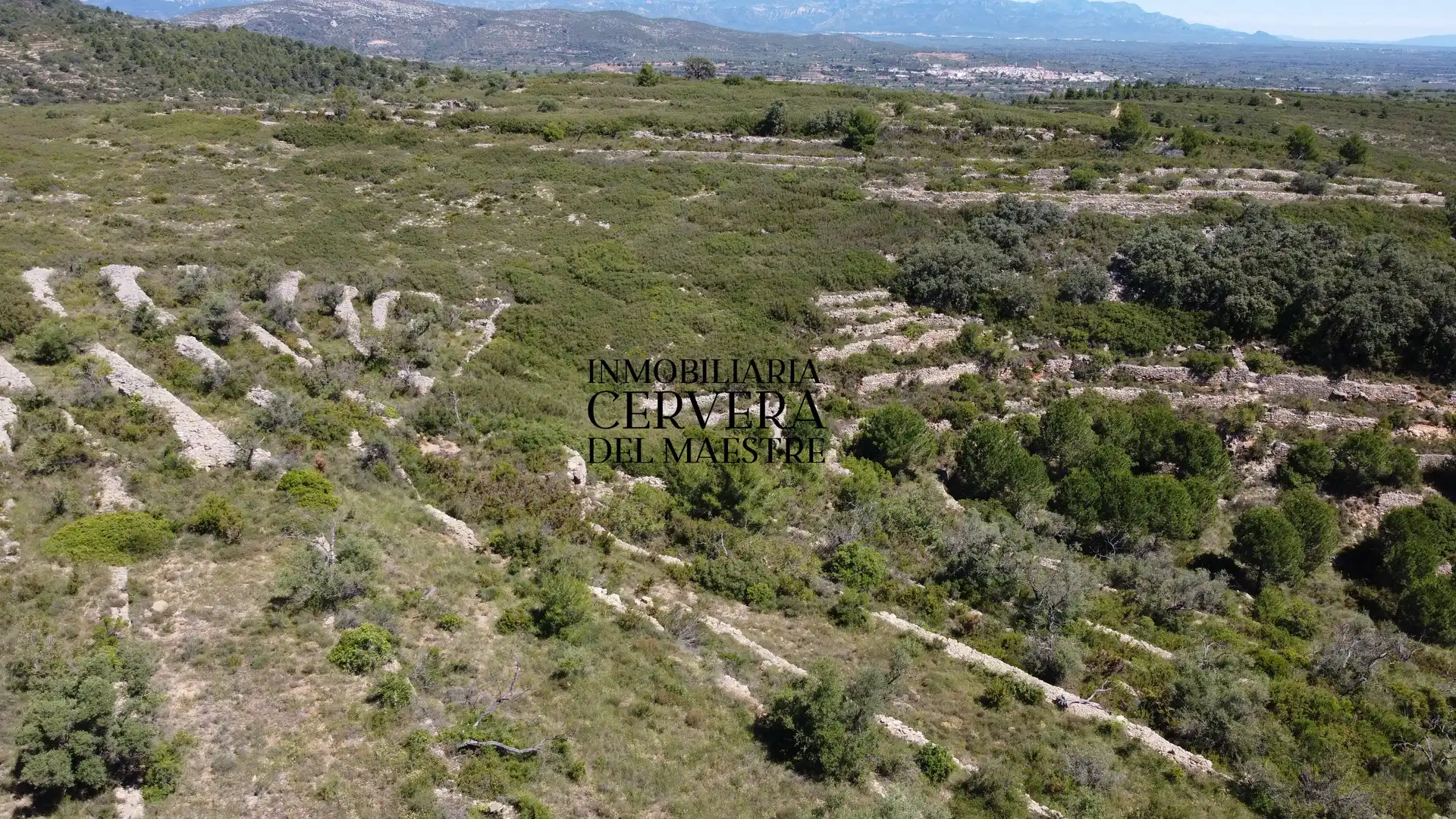 Terreny rústic en venda a Cervera del Maestre, imagen 21