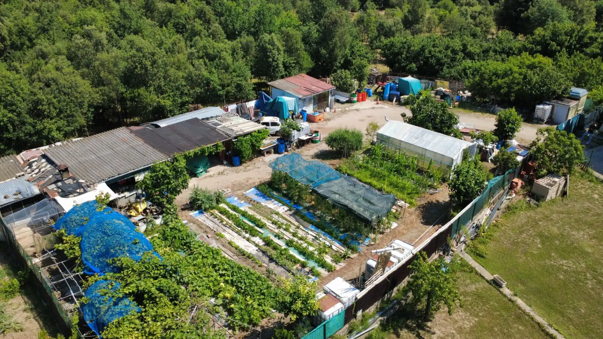 Terrenos y solares en venta en Amer, imagen 2