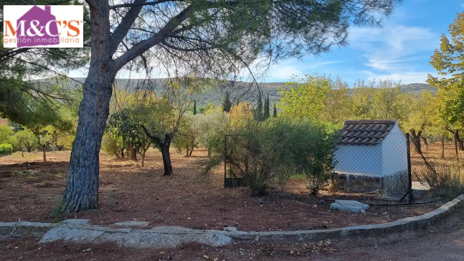 Chalet con terraza en venta en Almodóvar del Campo, imagen 25