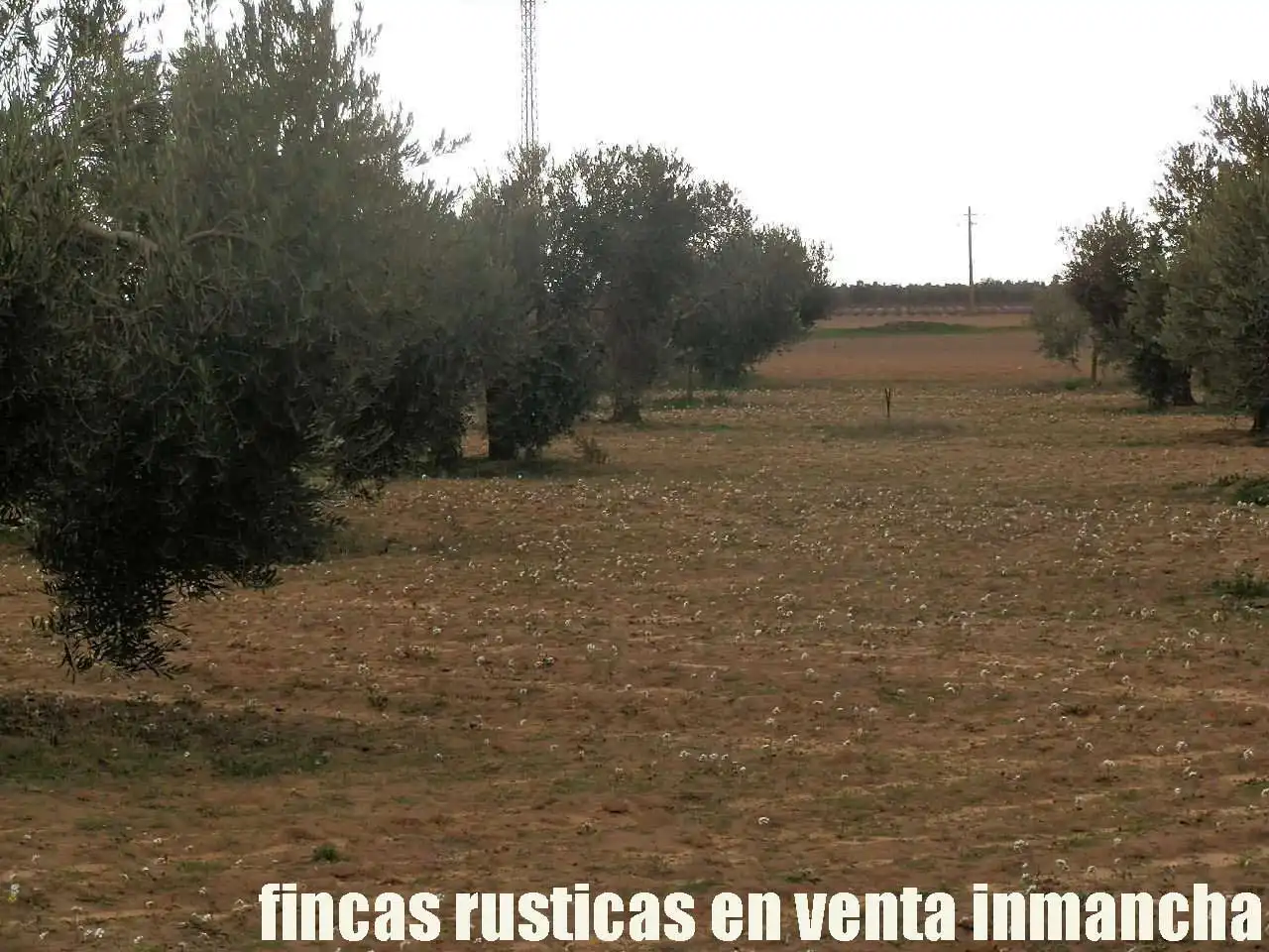 Terreno rustico in vendita a Campo de Criptana, imagen 2