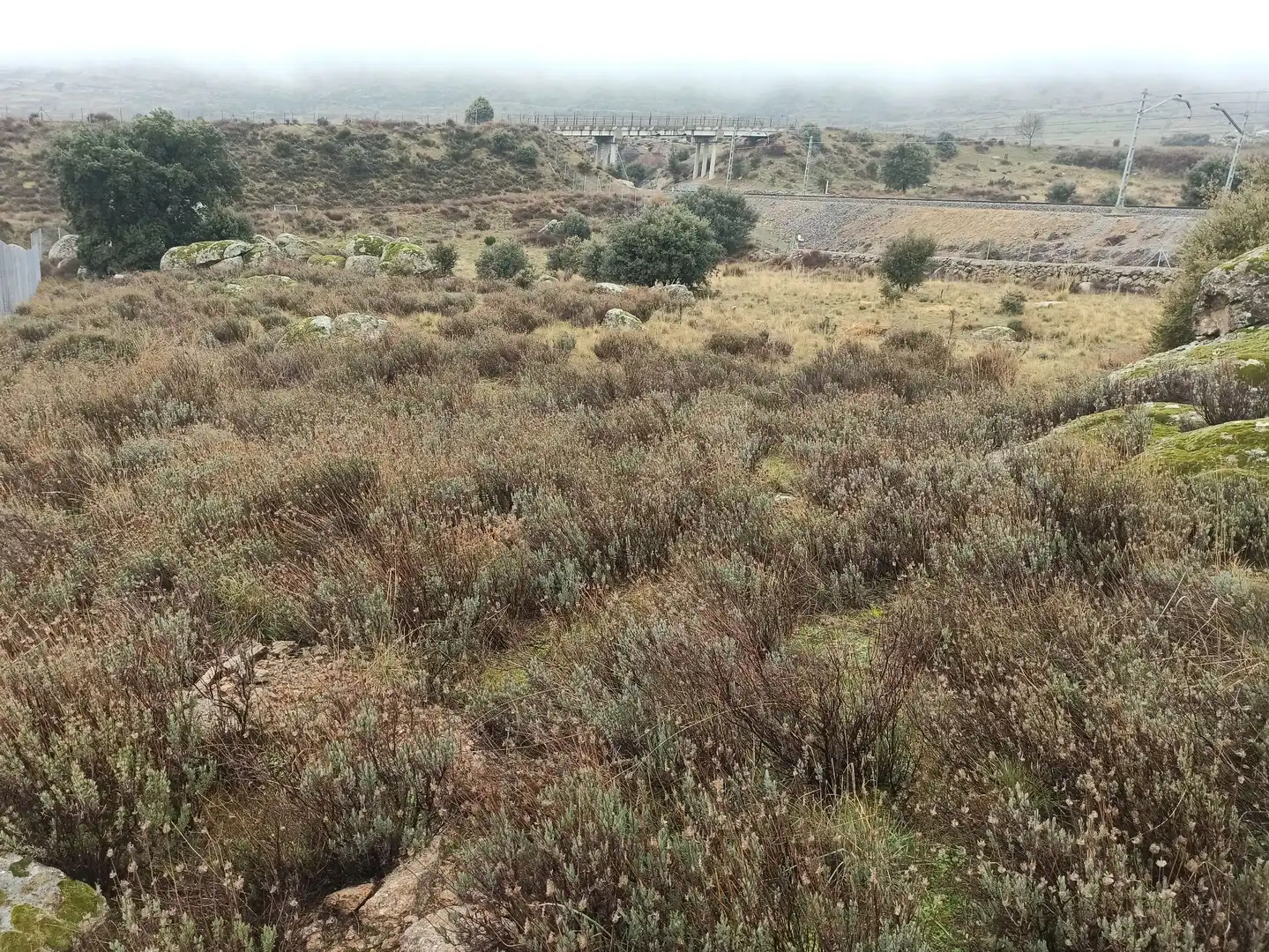 Terreno rustico in vendita a Zarzalejo, imagen 21