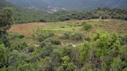 Finca en ager con cabaña de piedra, immagine 4