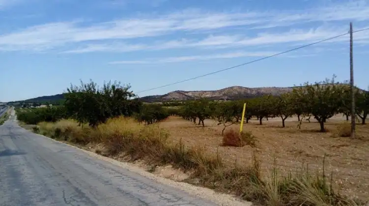 Lands and plots for sale in Paraje Ardal, imagen 6