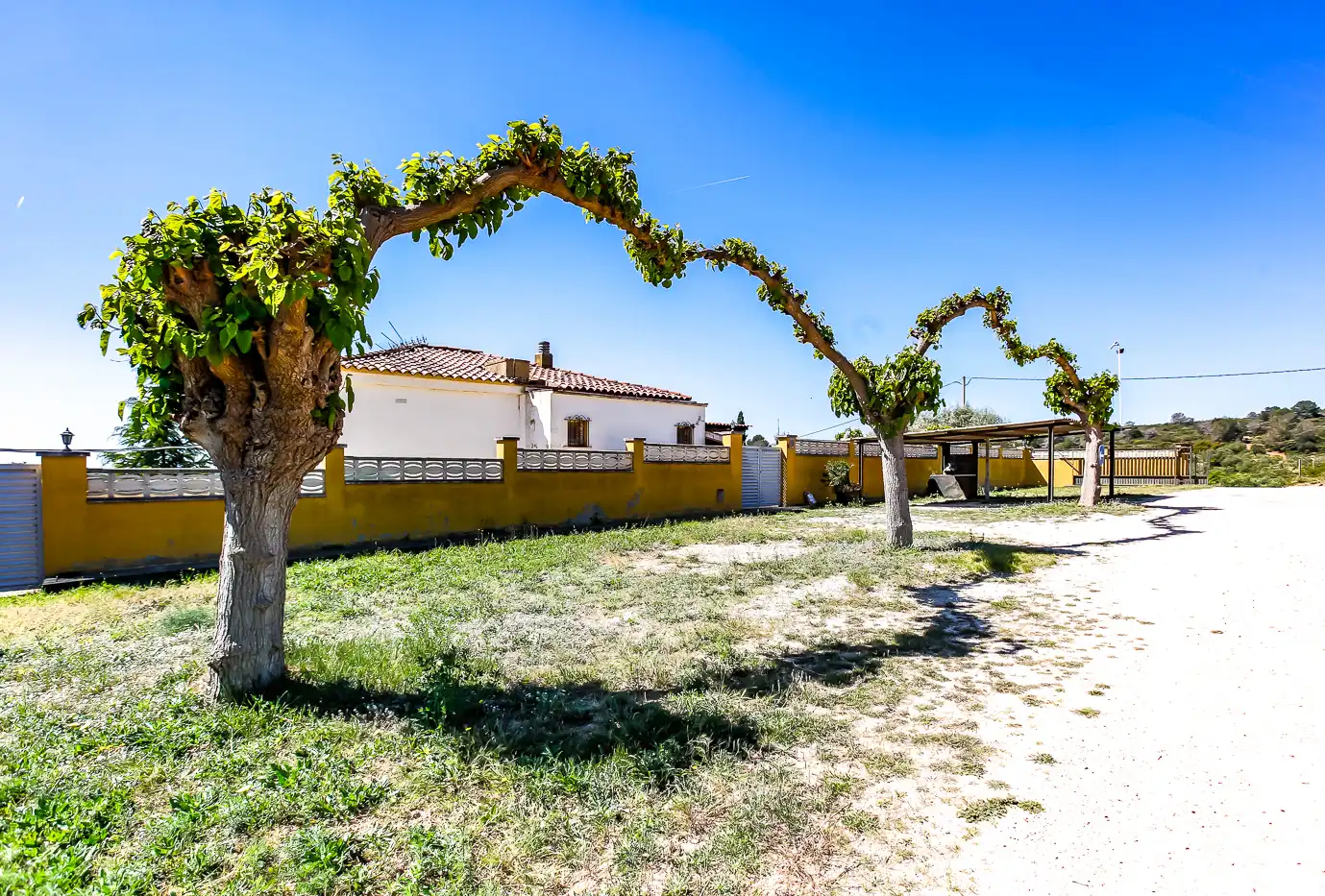 Rural land for sale in Bonastre, imagen 46