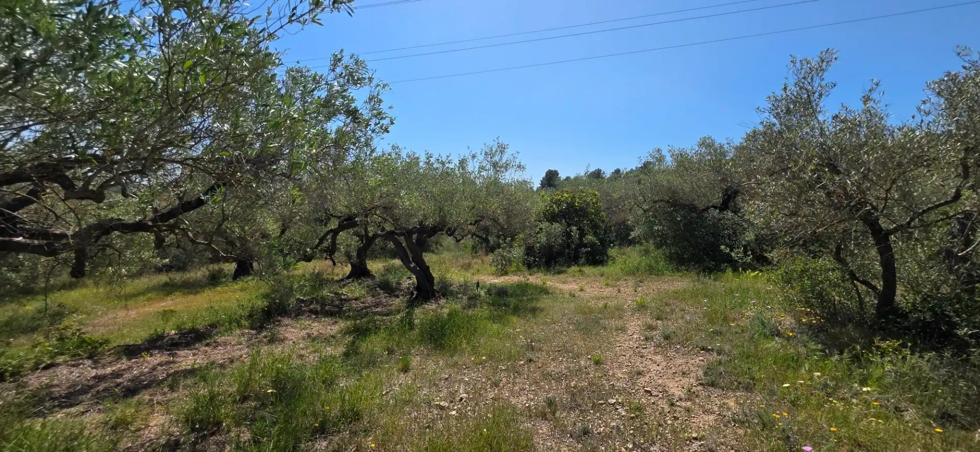 Country house with pool for sale in El Perelló, imagen 55
