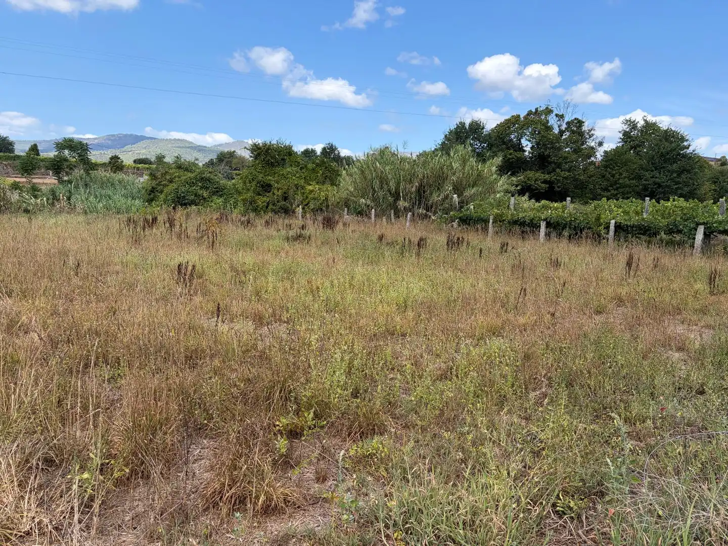Terrain rustique à vendre à Lugar a Quintenla