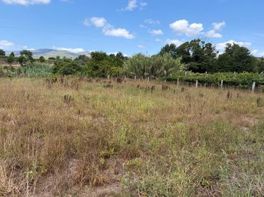 Terrain rustique à vendre à Lugar a Quintenla
