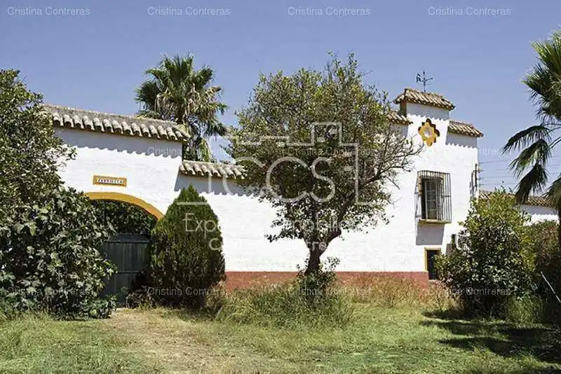 Jardín de Finca rústica en venta en Alcalá de Guadaira con Jardín privado y Piscina