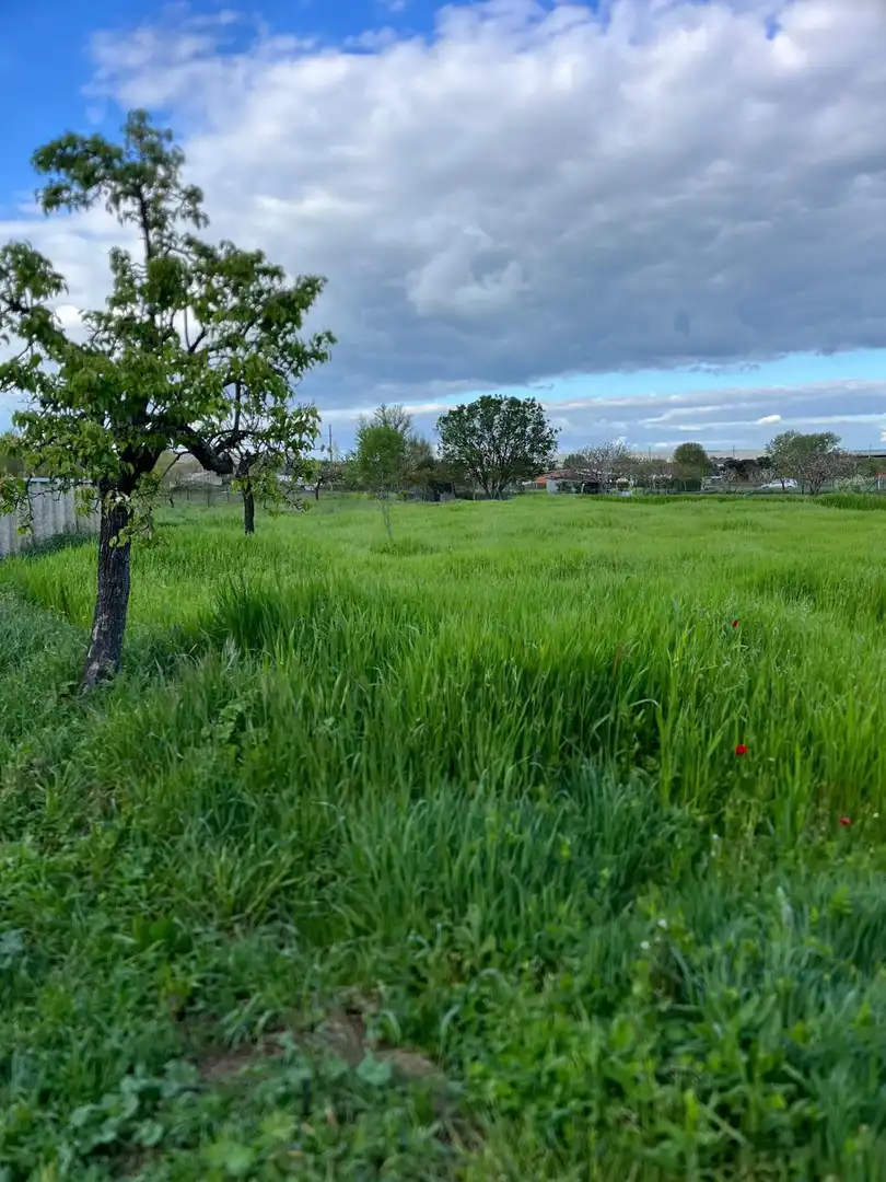 Terreno rustico in vendita a Ciudad Rodrigo, imagen 5