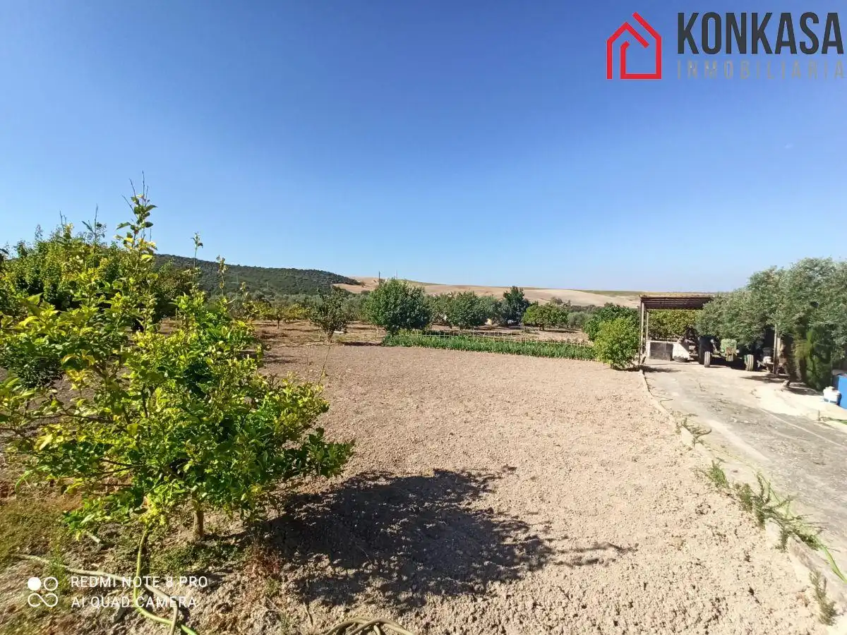 Chalet en venta en Arcos de la Frontera, imagen 25