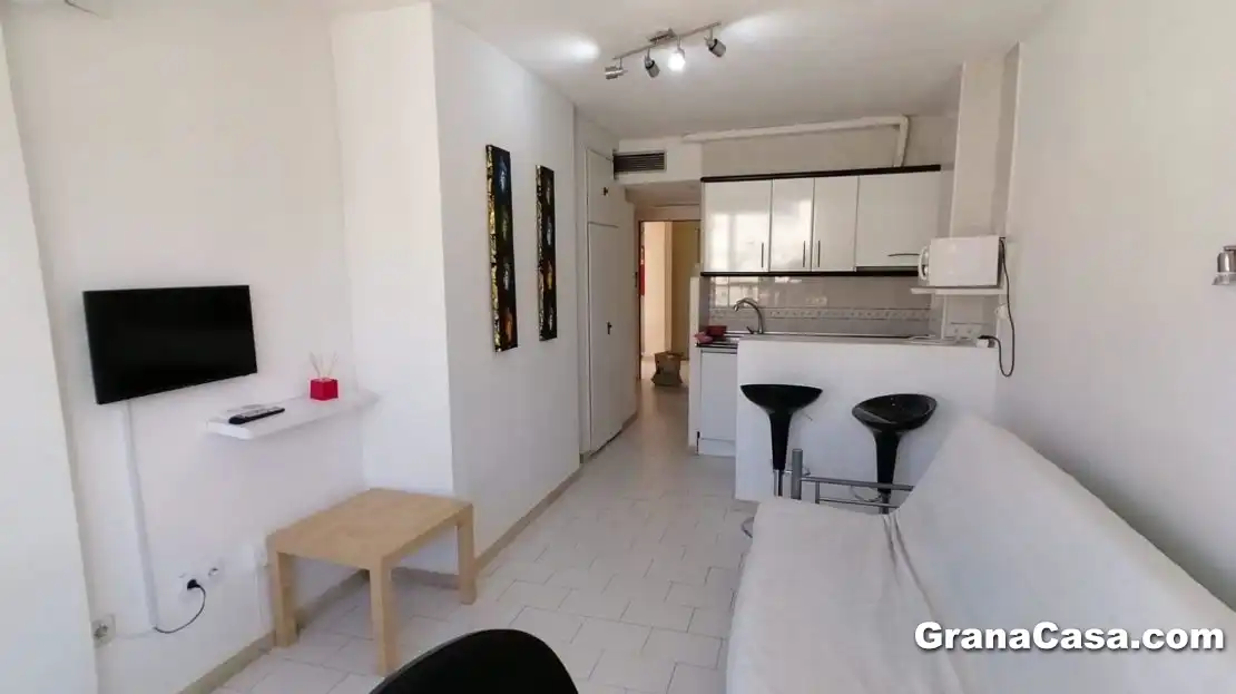 Living room of Study for rent in Granada  with Air Conditioner, Heating and Furnished