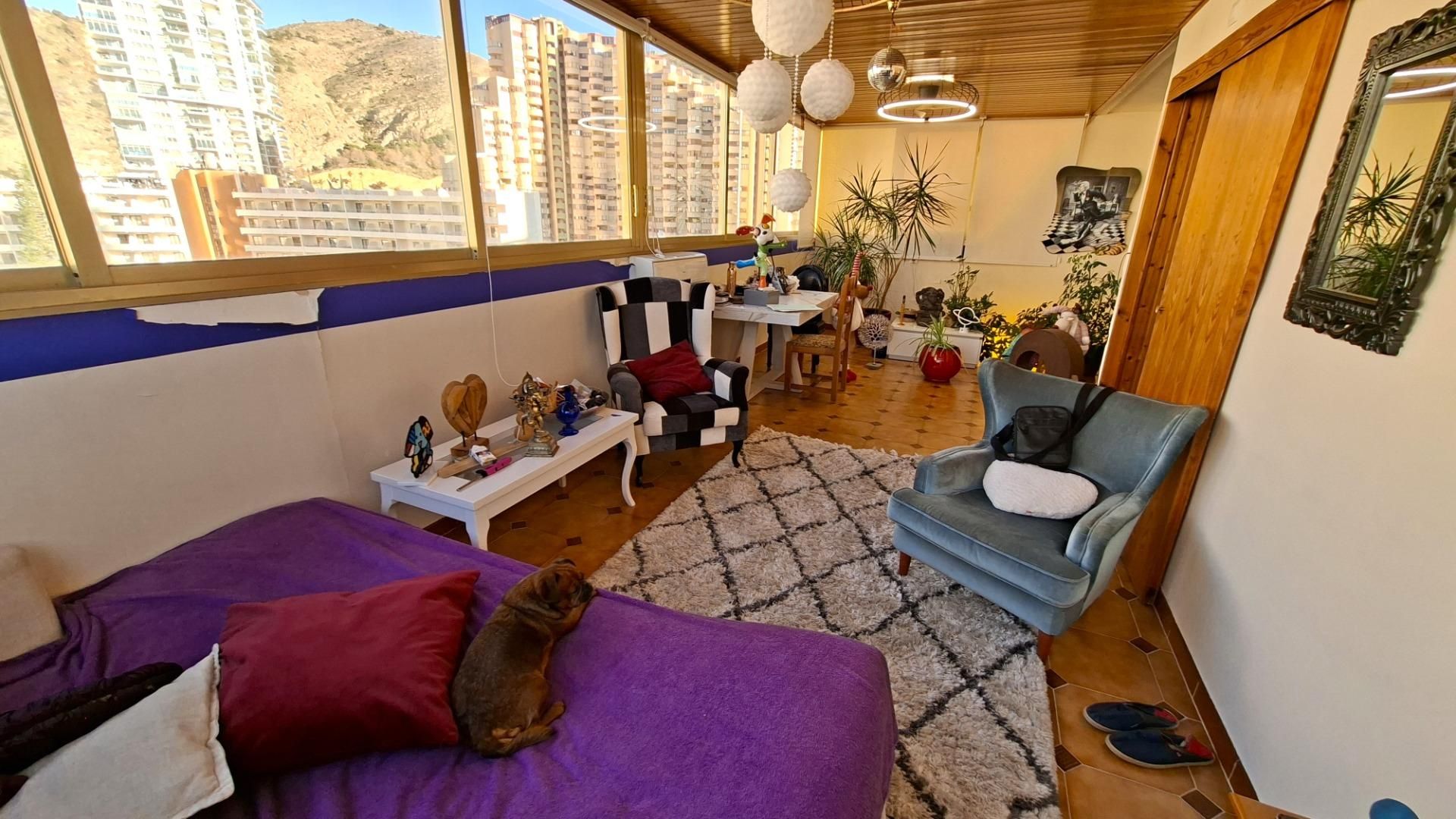 Sala d'estar de Pis en venda en Benidorm amb Aire condicionat, Jardí privat i Moblat