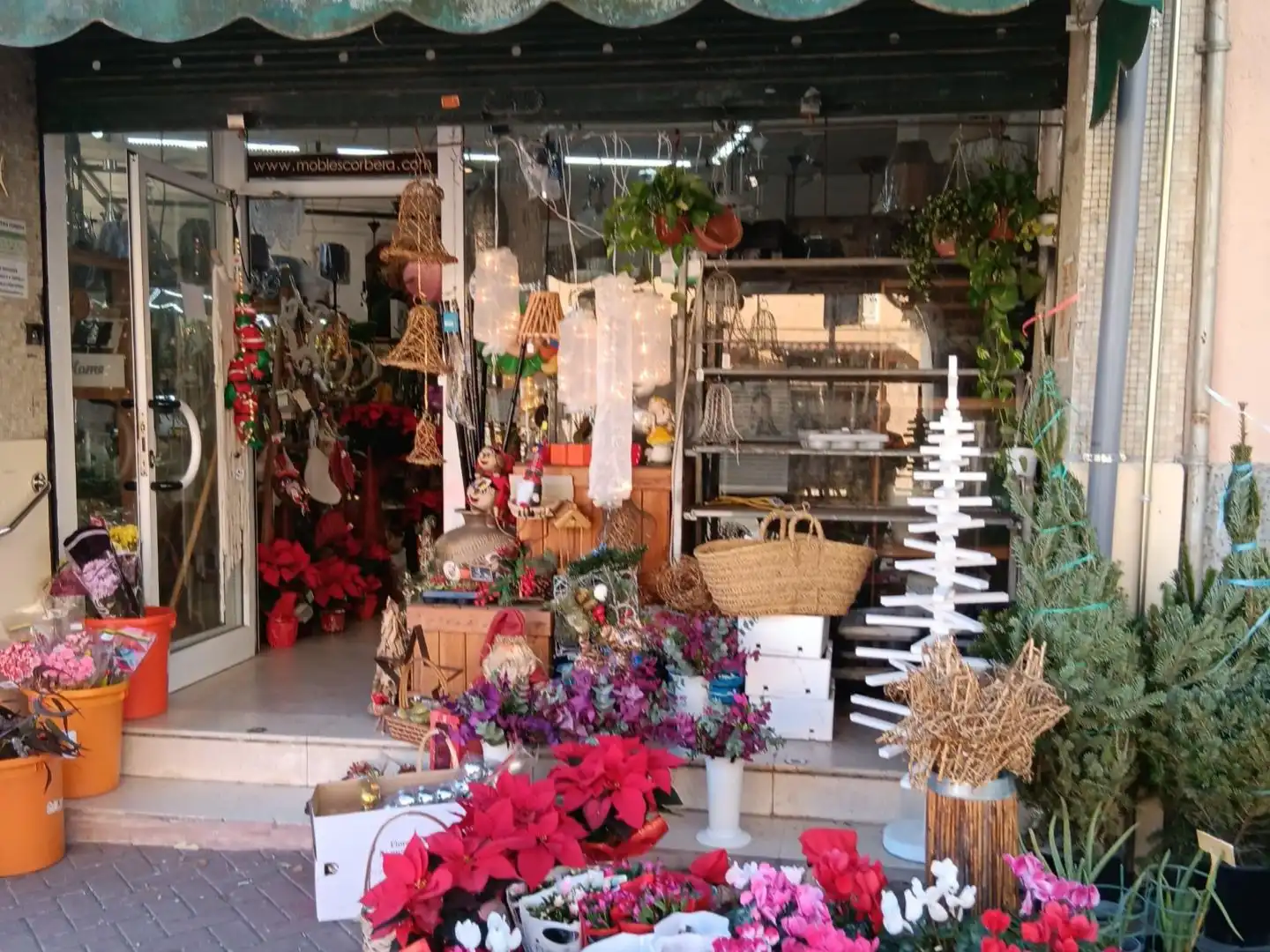 Local comercial en traspaso en Passeig Arbres 1, imagen 6