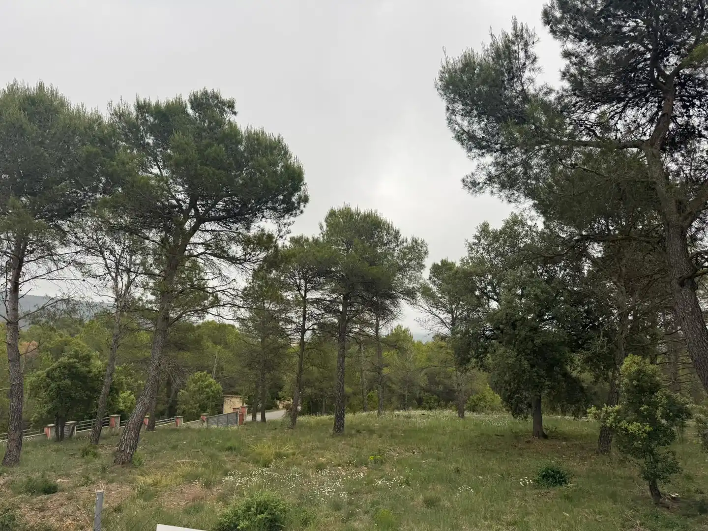 Terreno residenziale in vendita a Avinguda del Bosc, imagen 3