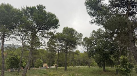 Imatge 3 de l'anunci