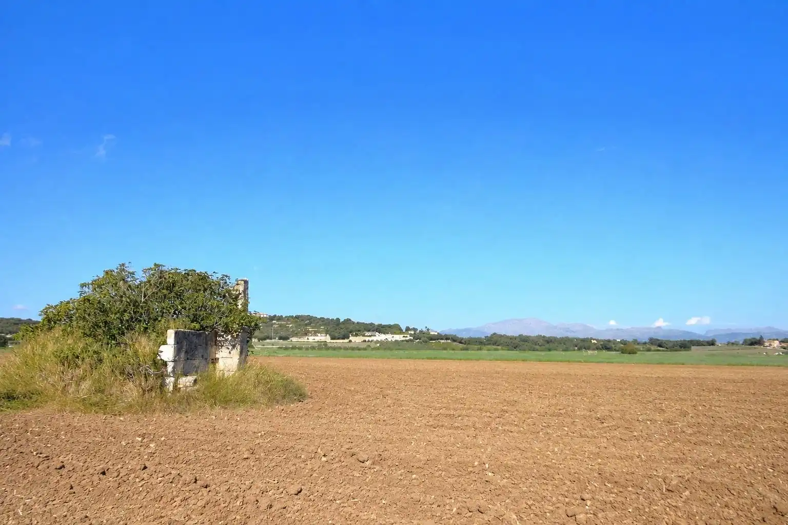 Rural land for sale in Muro, imagen 9