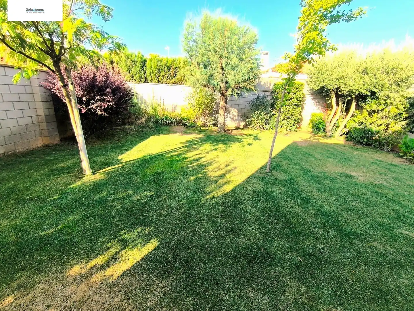 Jardí de Casa o xalet en venda en Chinchilla de Monte-Aragón amb Aire condicionat, Calefacció i Jardí privat