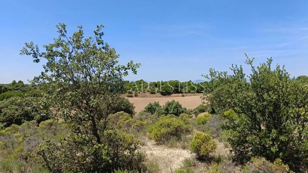 Terreno en venta en La Torre de Esteban Hambrán