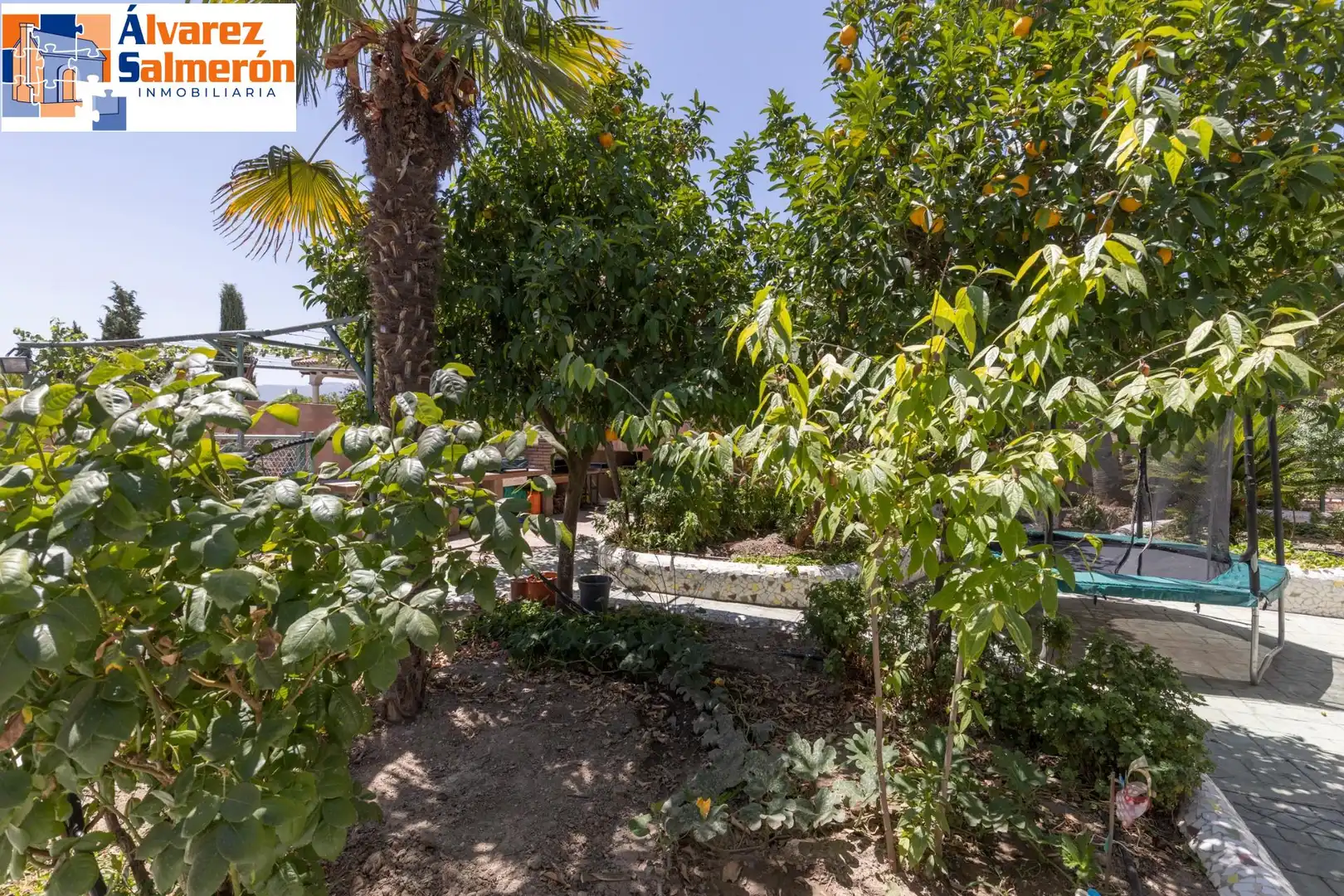 House with pool for sale in Avenida MONTEVIVE, imagen 82