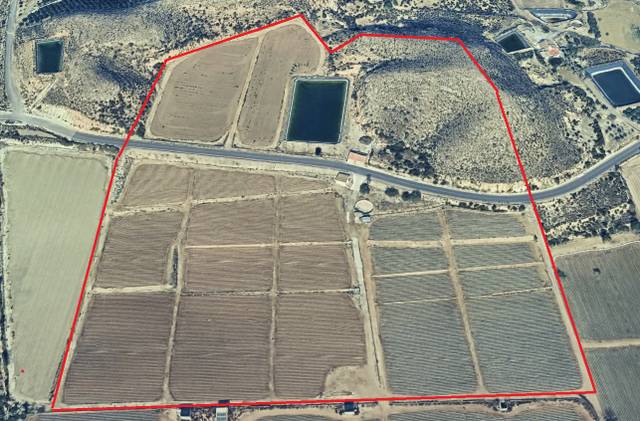 Finca rústica en Venta en Antas