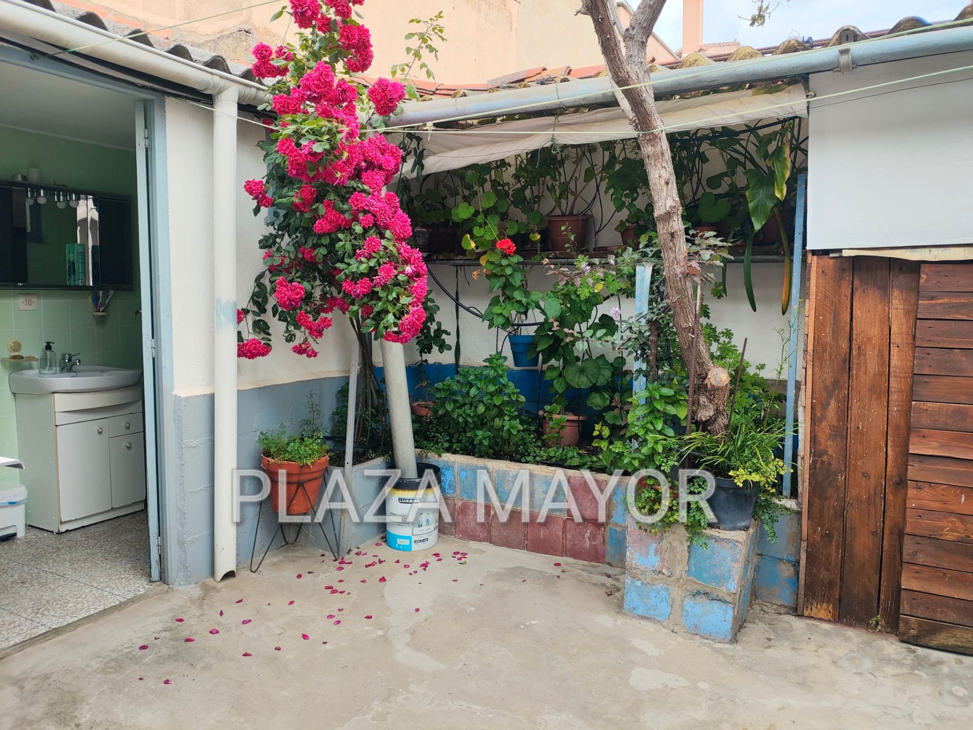 Terrassa de Casa o xalet en venda en Salamanca Capital amb Calefacció i Moblat