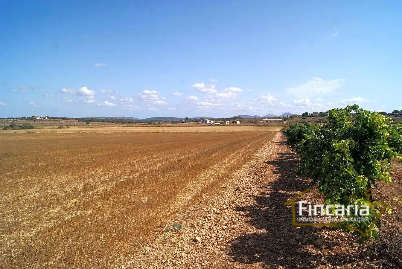 Residencial en venta en Vilafranca de Bonany