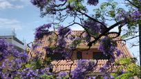Jardí de Casa o xalet en venda en Sant Just Desvern amb Aire condicionat, Calefacció i Jardí privat