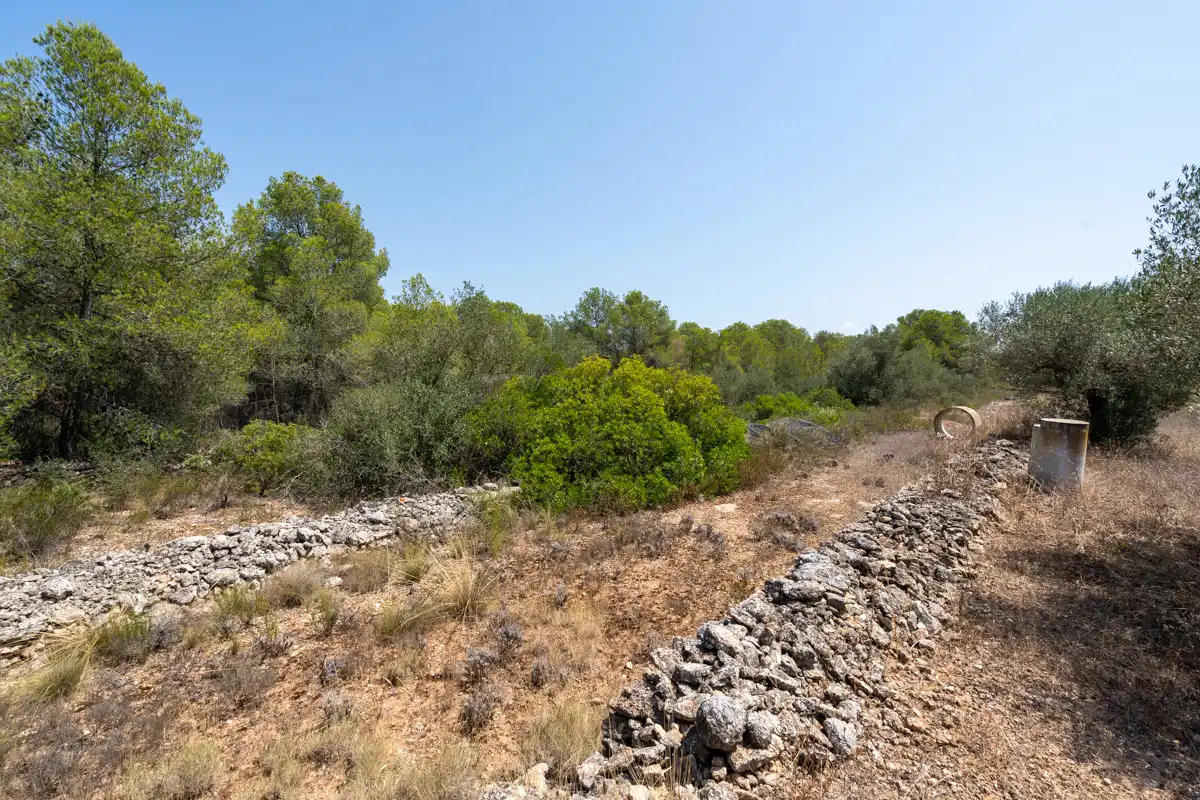 Rural land for sale in C-12 77, imagen 16