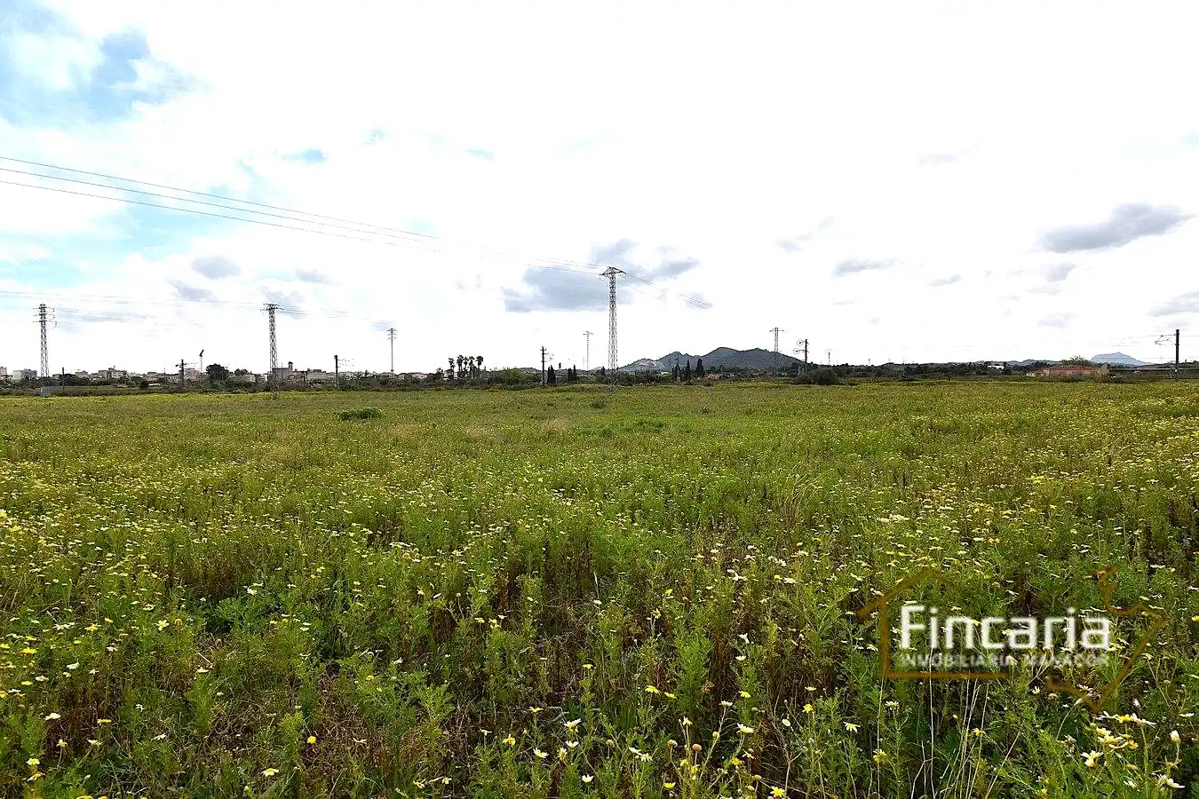 Country homes for sale in Manacor