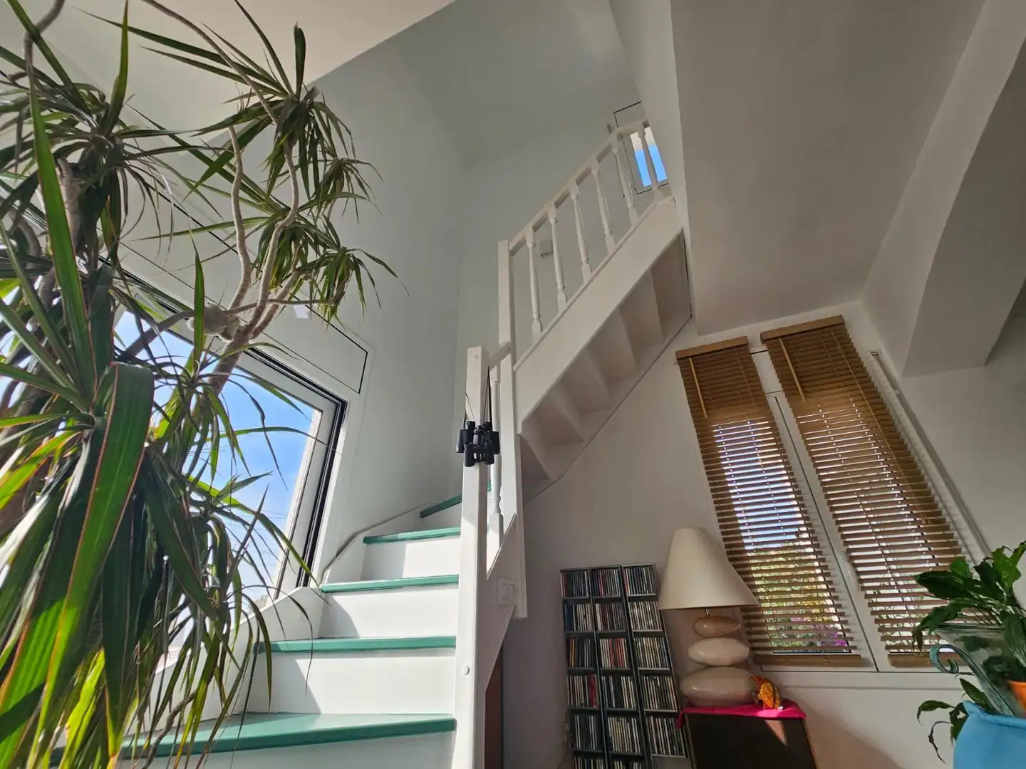 Casa amb jardí en venda a Nord, imagen 12