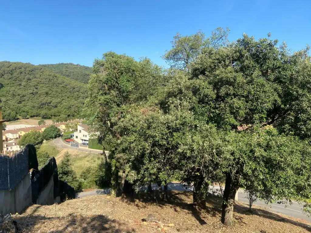 Residential land for sale in Calle Ginesta, imagen 6