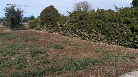 Photo 4 of Land for sale in Sant Gregori, 1, Domeny, Girona