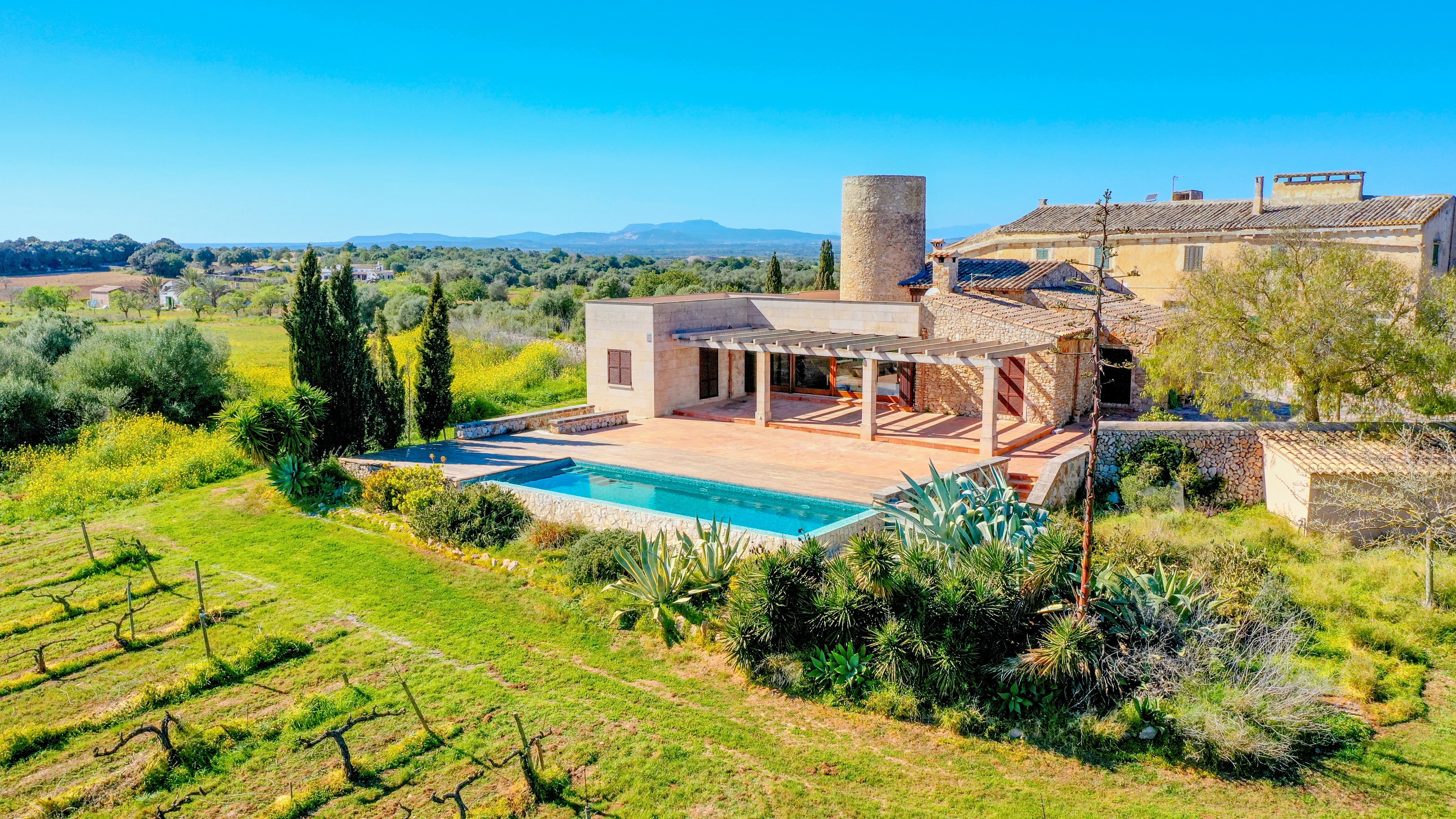 Garden of House or chalet to rent in Felanitx  with Private garden, Terrace and Swimming Pool