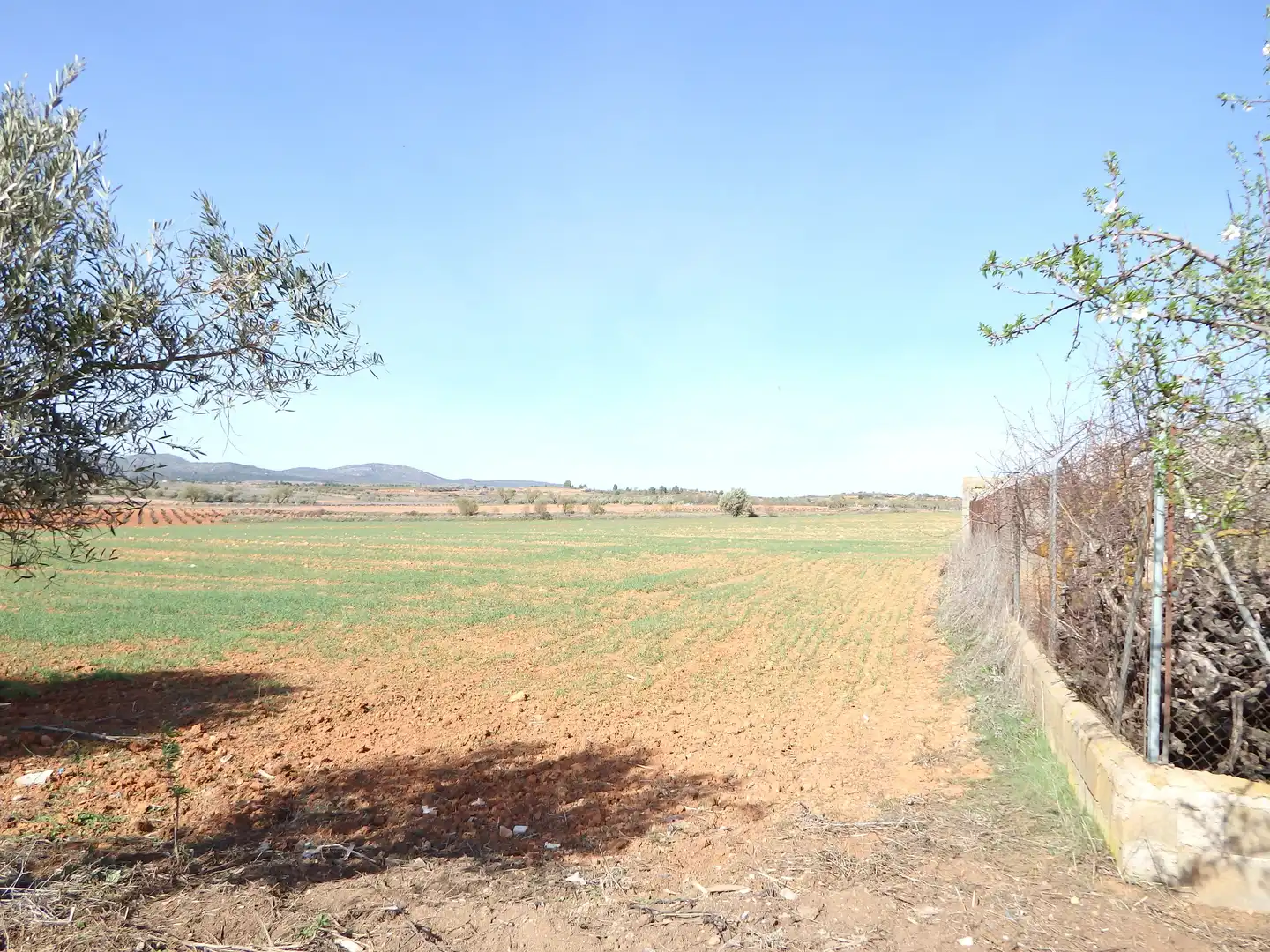 Houses for sale in N/A, Requena
