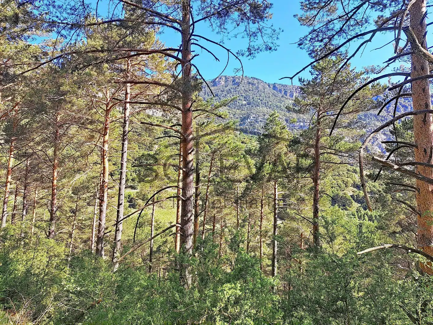 Casa o chalet en venta en Abella de la Conca