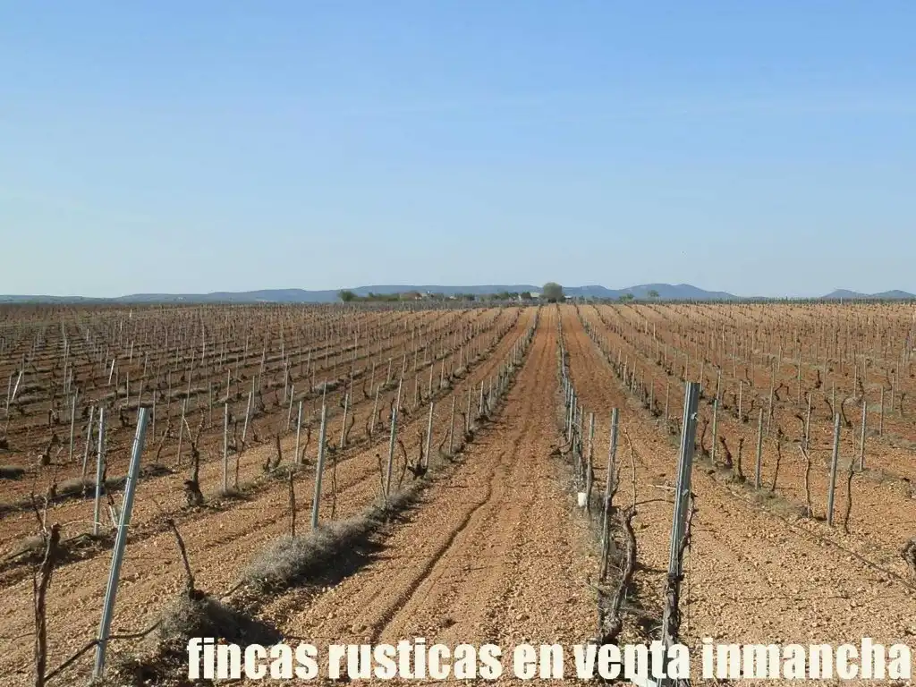 Terreni e lotti in vendita a Madridejos, imagen 13