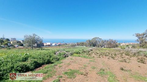 Foto 5 de Finca rústica en venta en Tacoronte - Los Naranjeros, Tacoronte