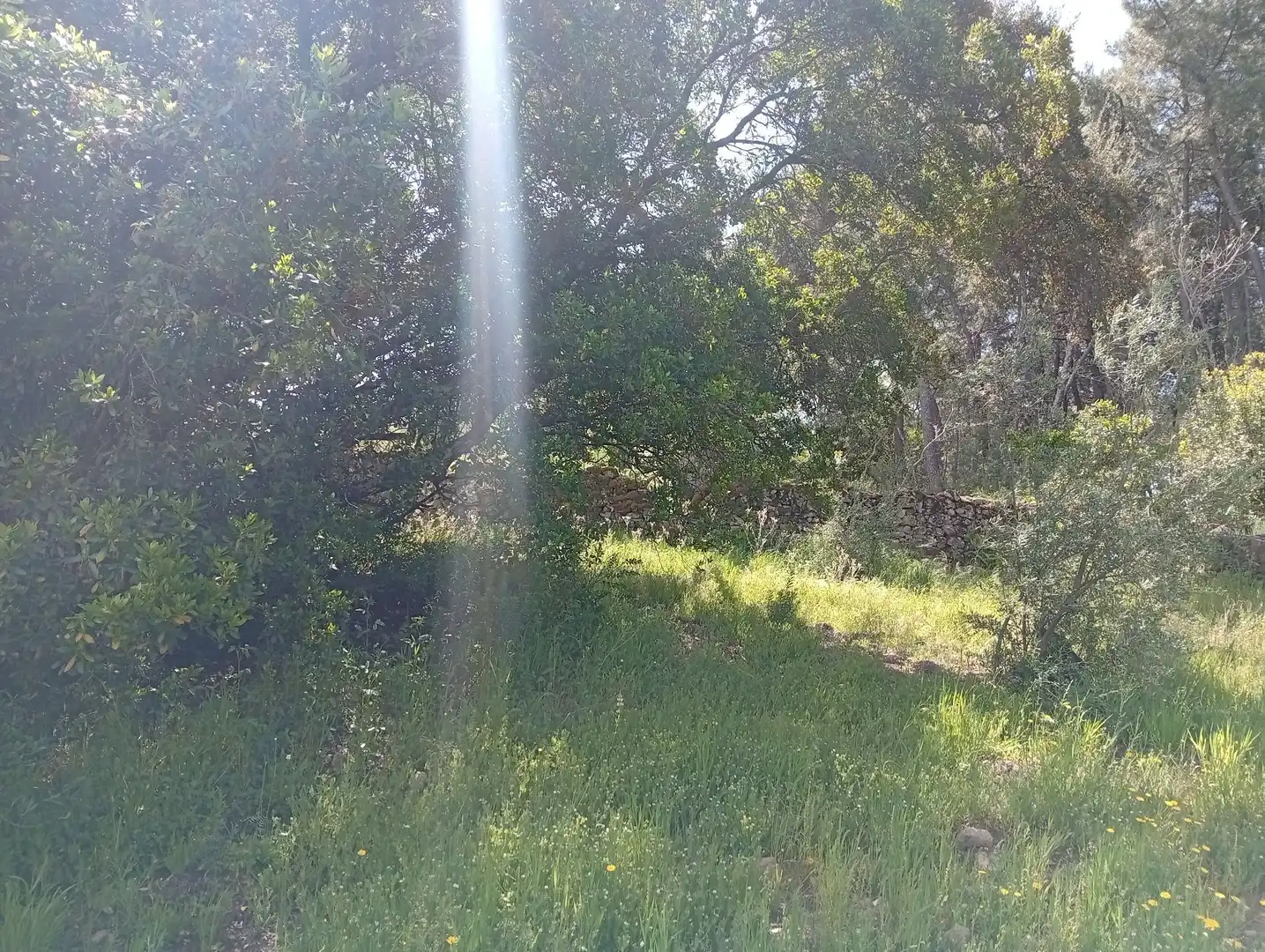 Terreni e lotti in vendita a Villanueva de la Vera, imagen 69