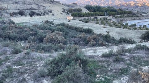 Huecija . Parcela en venta Rustica, imatge 2
